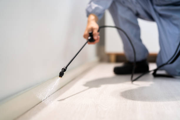 Rodent Entry Point Assessment in Bridgewater Center