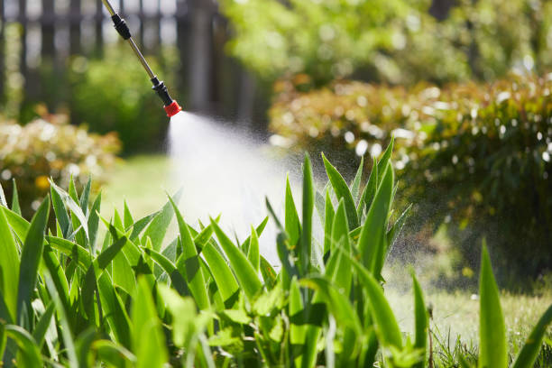 Tamper-Resistant Bait Stations for Rodents in Bridgewater Center
