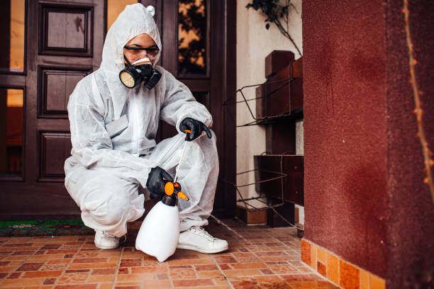 Attic and Crawl Space Rodent Treatment in Bridgewater Center